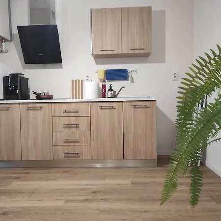 Sleeping House Apartment Cluj-Napoca
